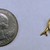  14K Gold Dolphin Pendant