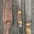E.C. Solingen Buffalo Skinner/KTRAGBAR 